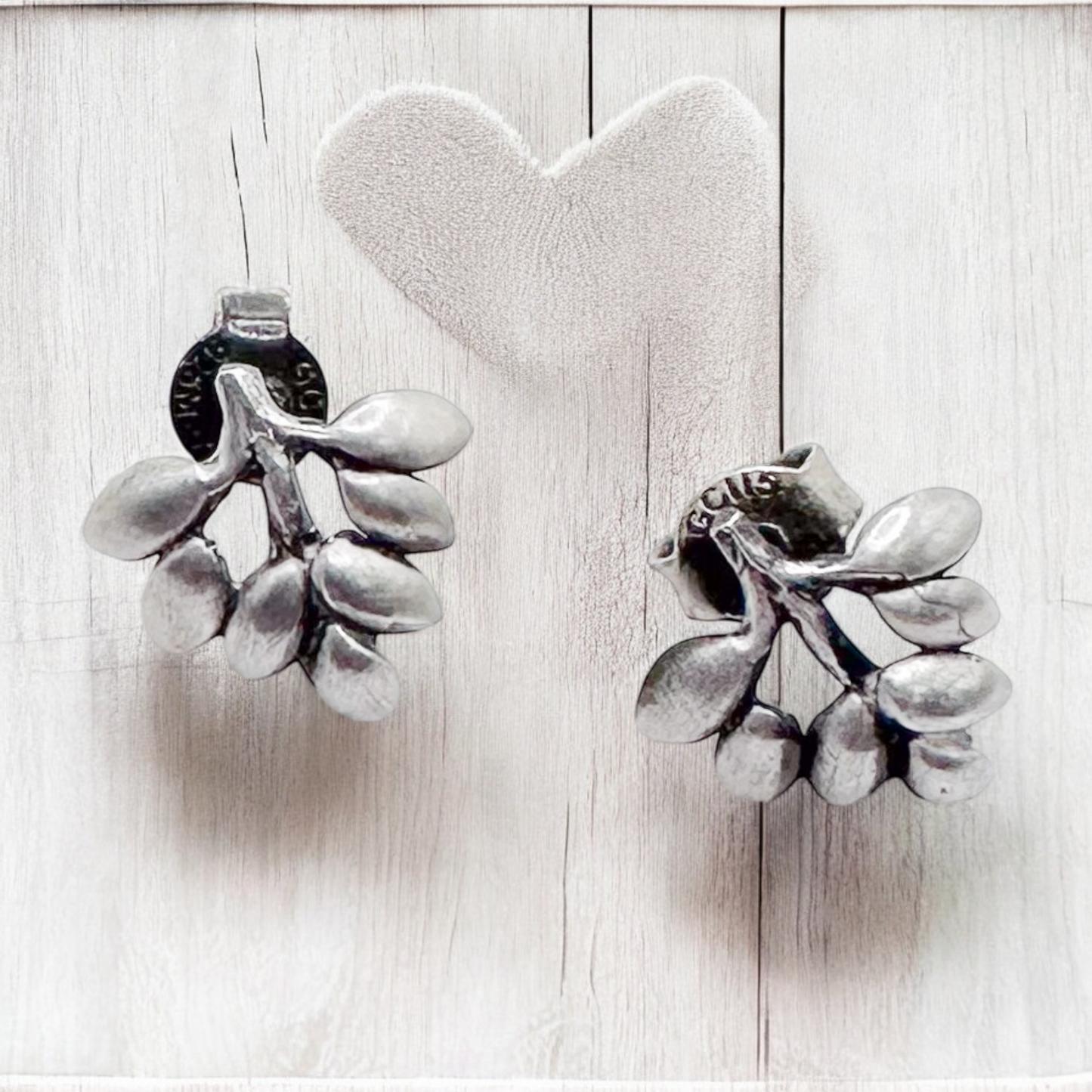 ARETE RACIMO PLATA .925